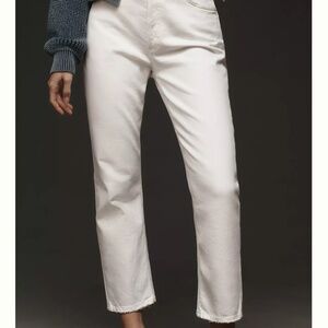 Agolde Riley High Rise Straight Jean